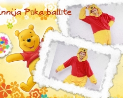 Vinnijs Pūks