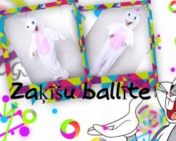 Zakitis